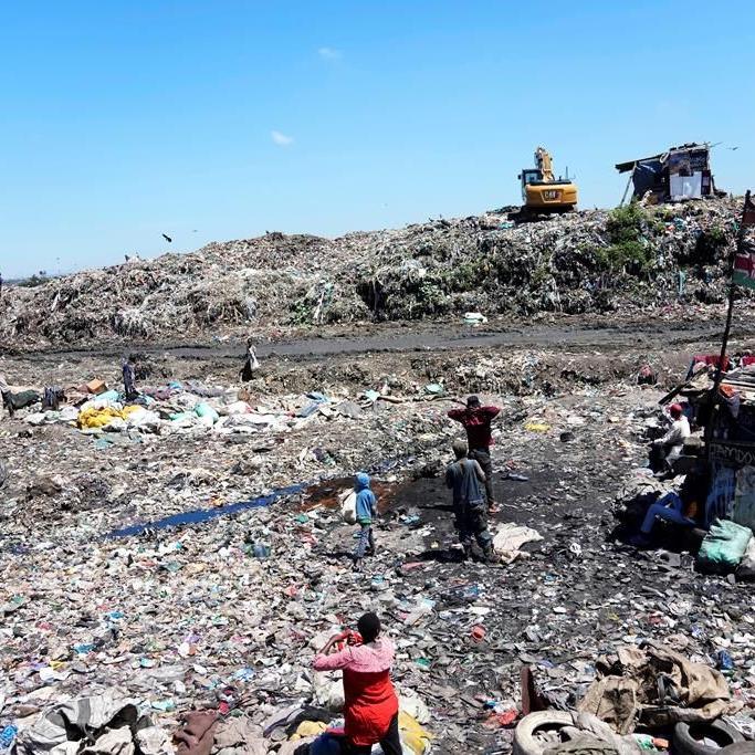 They study next to one of Africa's largest trash dumps. They're planting bamboo to try to cope